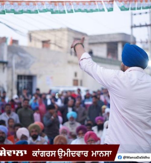 274150188_497945018365003_5019214942473881929_n