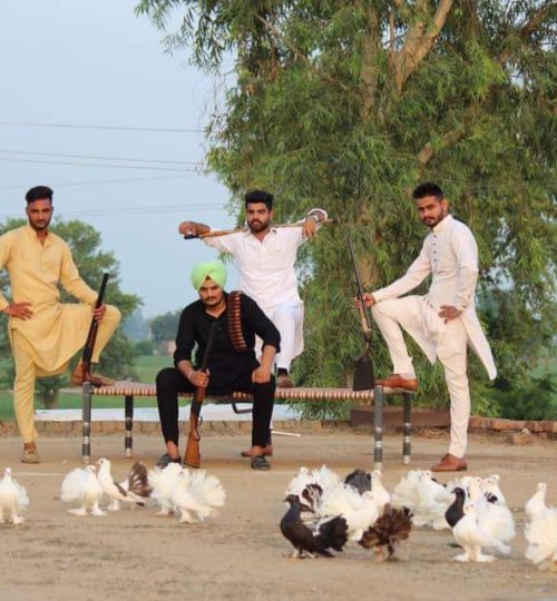 FB_IMG_1715099198991